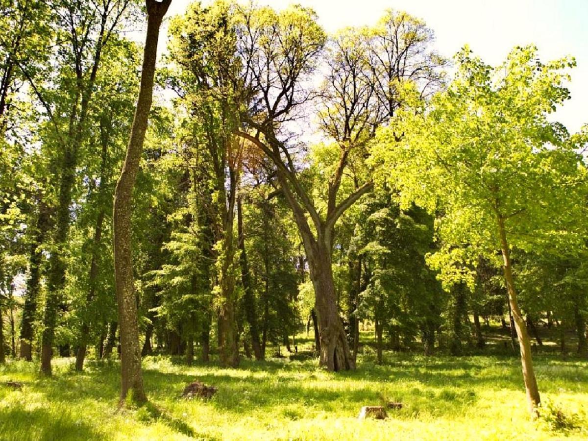 Palac Kursko Экстерьер фото